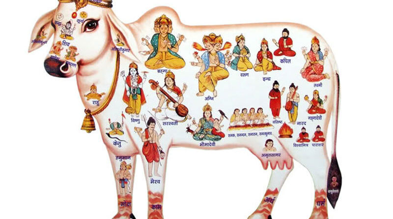 गौ माता की सेवा